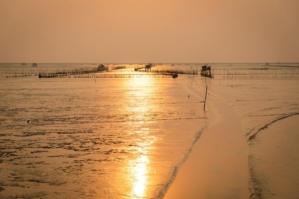Tourisme Tarn Et Garonne